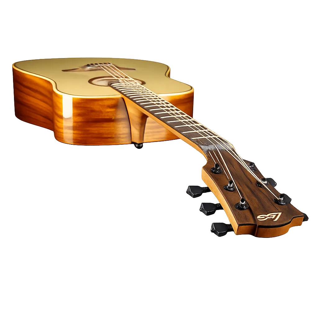LAG acoustic guitar example in stock