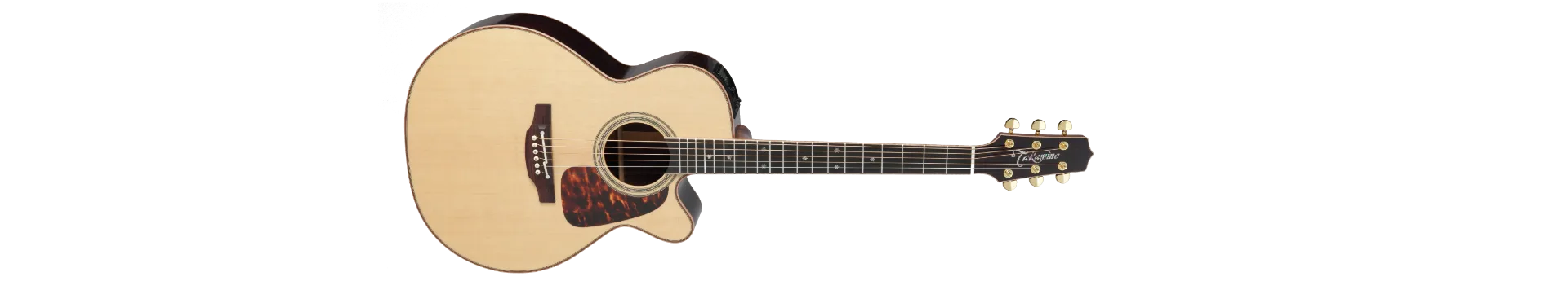 Takamine acoustic guitar range in stock